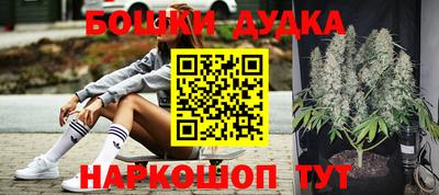 МДПВ Пушкино